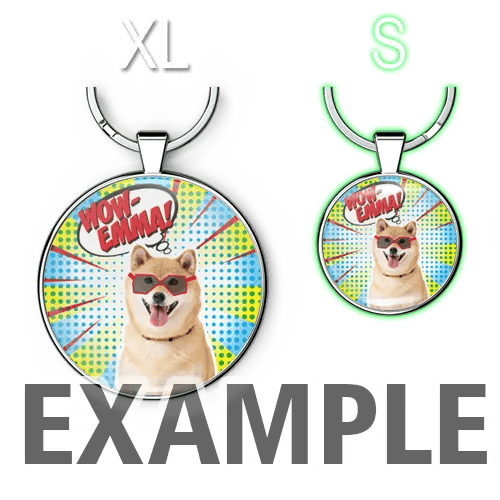 Porte-clés animaux de compagnie