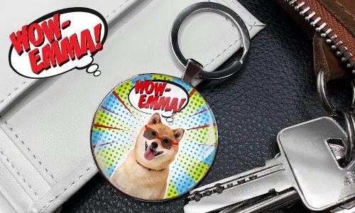 gallery-keychain-pet-comic-1