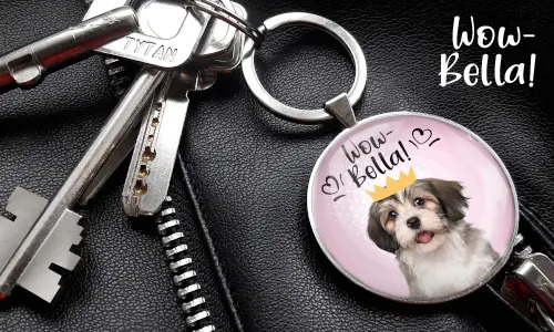 gallery-keychain-pet-comic-11