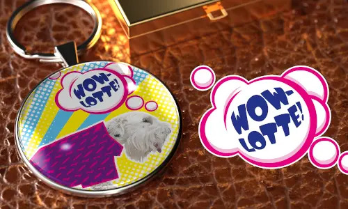 gallery-keychain-pet-comic-4