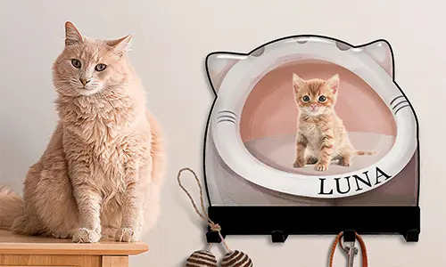 galerie-porte-clés-mural-maison-chat-chien-design-2