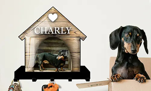 galerie-porte-clés-mural-maison-chat-chien-design-3
