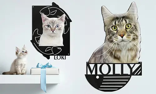 Personalisierte Wanddeko mit Foto und Namen deiner süßen Katze