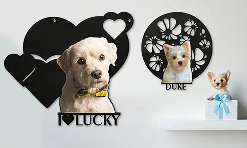 gallery-wall-decoration-with-cat-dog-1