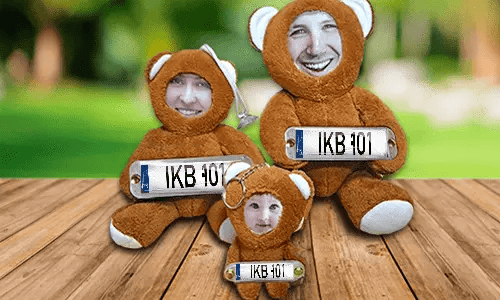 Car Photo Stuff Toy Bear