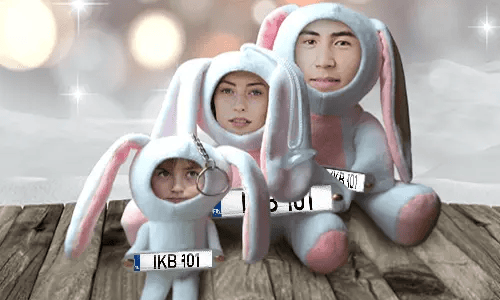 Voiture Photo Stuff Toy Bunny