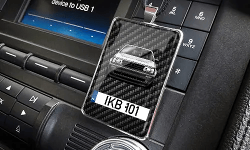 Rear view mirror trailer on the panel