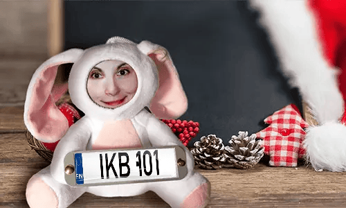 Cuddly toy with photo with license plate as a gift